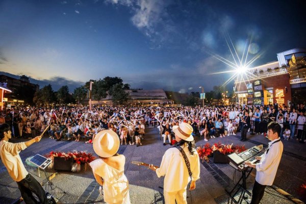 盛谷策略 郑州青岛双城联动，暑期消费盛宴邀你共赴清凉之旅