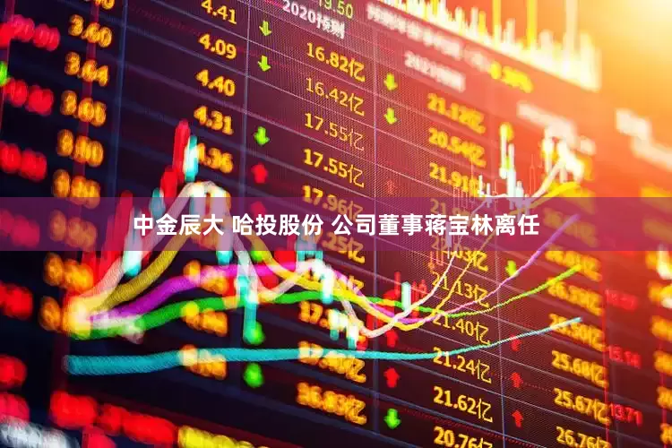 中金辰大 哈投股份 公司董事蒋宝林离任